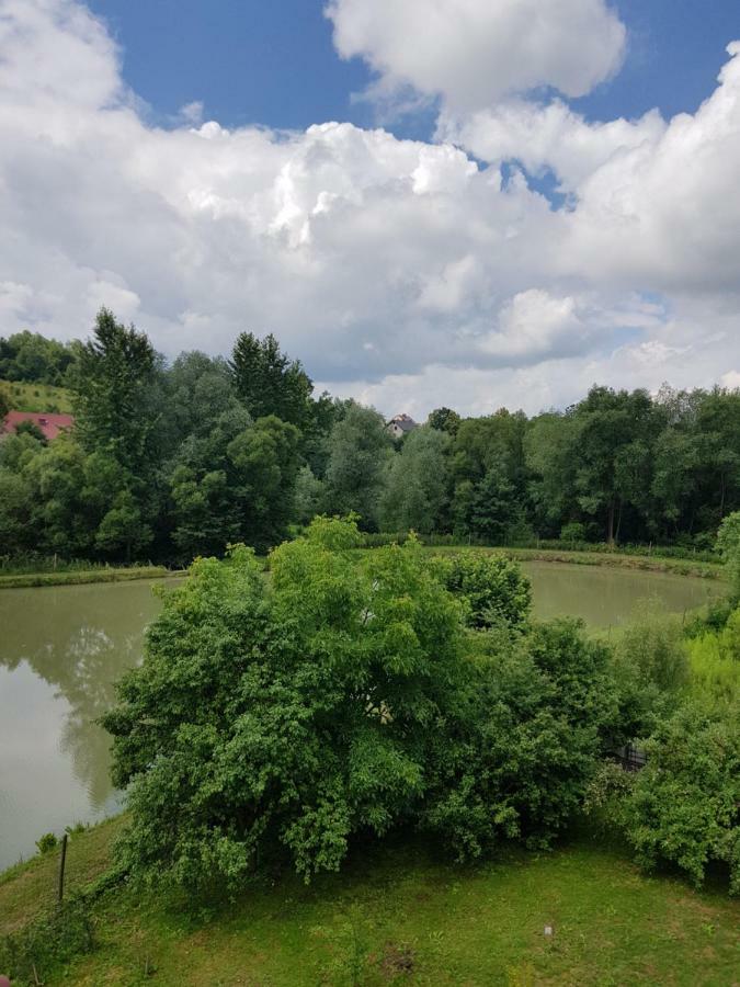 Na Stawach Guest House Stryszow Exterior foto
