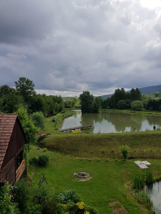 Na Stawach Guest House Stryszow Exterior foto